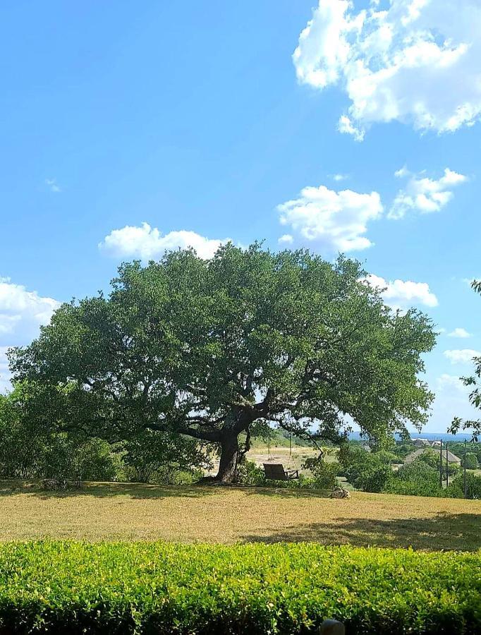Hill Country Haute N Haus Relax And Renew Fischer エクステリア 写真
